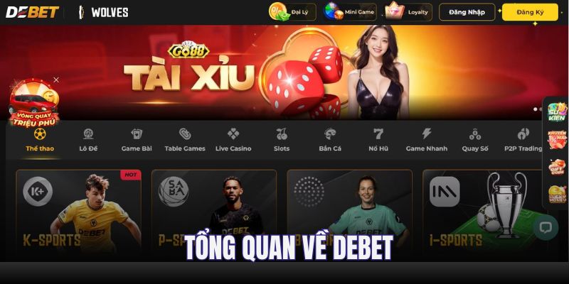 Tổng quan giới thiệu DEBET